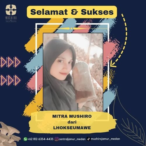 centraljamur_medan_1708694668_3309093175666029099_40382498798