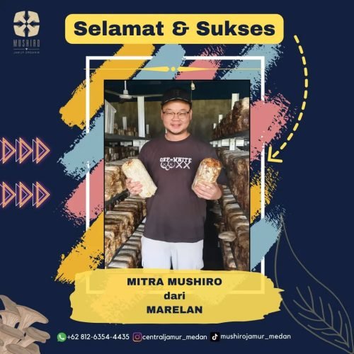 centraljamur_medan_1709032950_3311930895807400091_40382498798